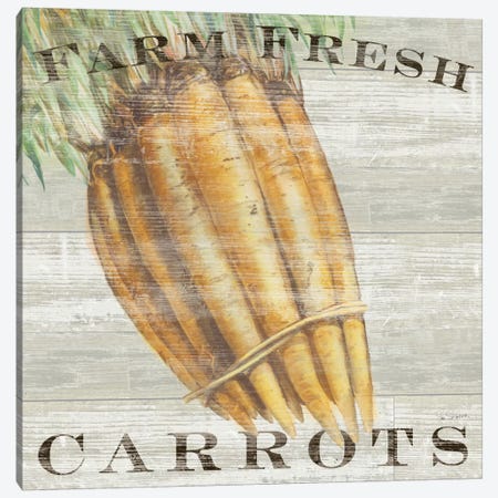 Farm Fresh Carrots Canvas Print #WAC3738} by Sue Schlabach Canvas Art