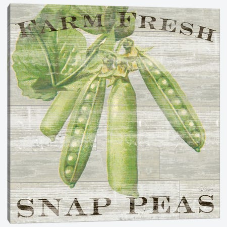 Farm Fresh Peas Canvas Print #WAC3739} by Sue Schlabach Canvas Wall Art