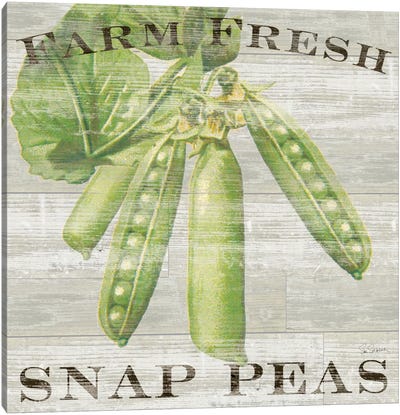 Farm Fresh Peas Canvas Art Print - Farmhouse Kitchen Art