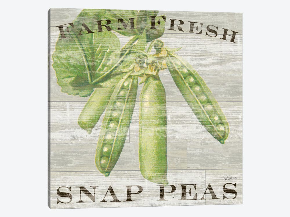Farm Fresh Peas by Sue Schlabach 1-piece Canvas Print