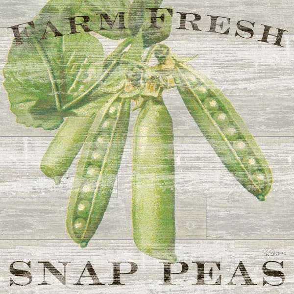 Sue Schlabach: Farm Fresh Peas by Sue Schlabach
