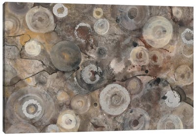 Agate Canvas Art Print - Agate, Geode & Mineral Art