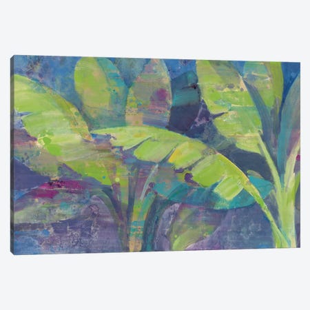 Bermuda Palms Canvas Print #WAC3772} by Albena Hristova Canvas Art