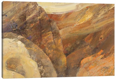 Canyon VII Canvas Art Print - Albena Hristova