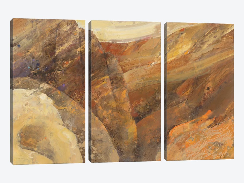 Canyon VII by Albena Hristova 3-piece Canvas Print