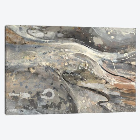 Minerals III Canvas Print #WAC3782} by Albena Hristova Canvas Print