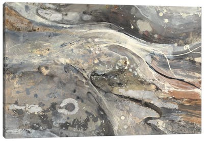 Minerals III Canvas Art Print - Agate, Geode & Mineral Art