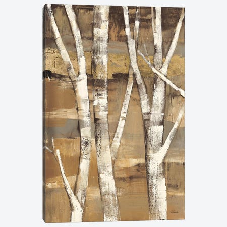 Wandering Through the Birches I Canvas Print #WAC37} by Albena Hristova Canvas Art Print