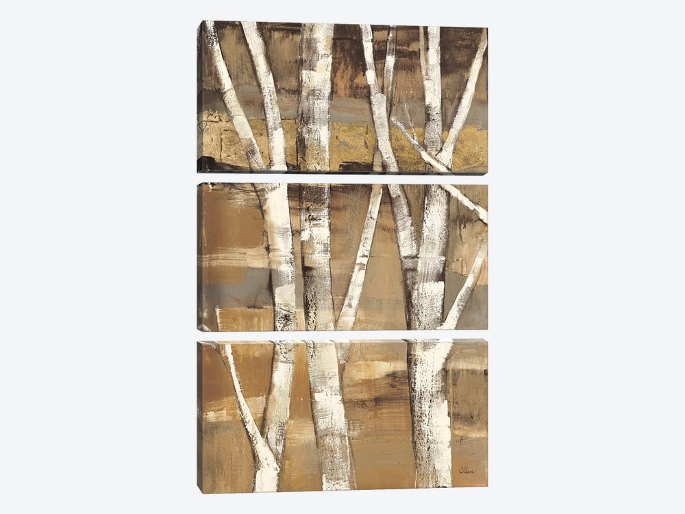 Wandering Through the Birches I by Albena Hristova 3-piece Canvas Artwork
