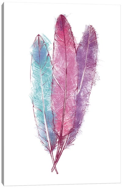Bohemian Feather I Canvas Art Print - Rose Quartz & Serenity