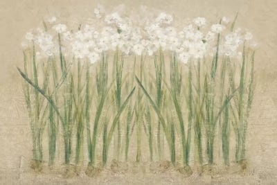 Cheri Blum