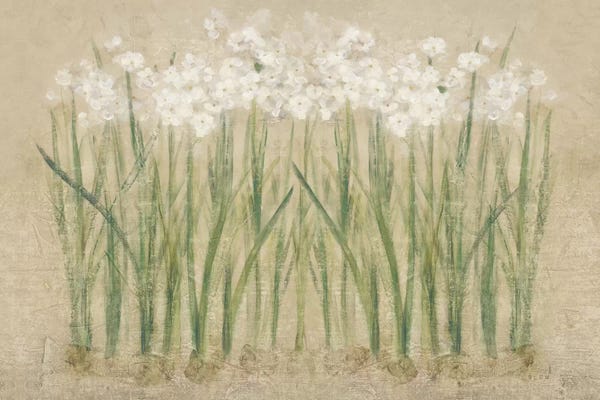 Cheri Blum