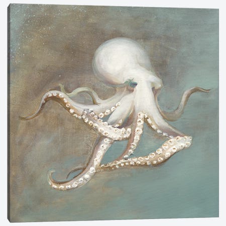 Treasures from the Sea V Canvas Print #WAC3845} by Danhui Nai Canvas Print