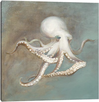 Treasures from the Sea V Canvas Art Print - Octopus Art