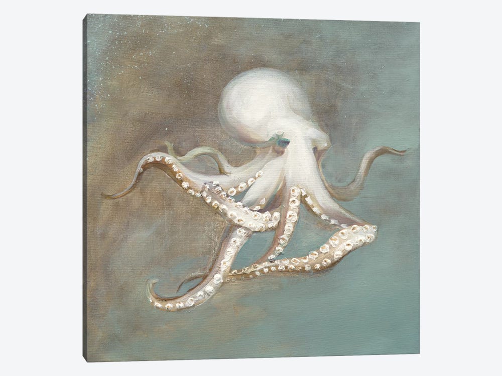 Treasures from the Sea V by Danhui Nai 1-piece Canvas Artwork