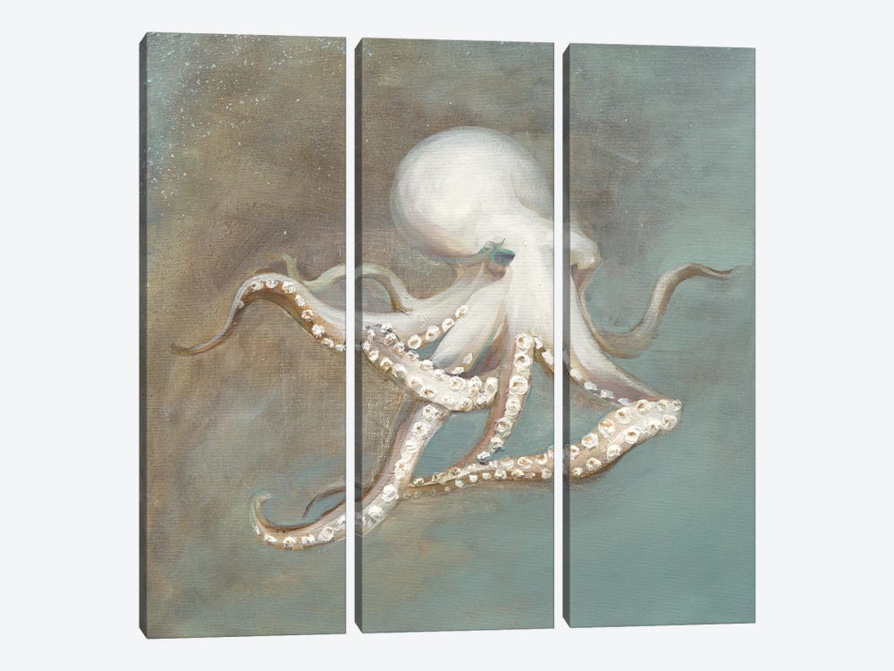 Treasures from the Sea V by Danhui Nai 3-piece Canvas Artwork