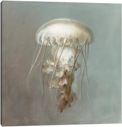 Treasures from the Sea VI Canvas Art Print - Jellyfish Art