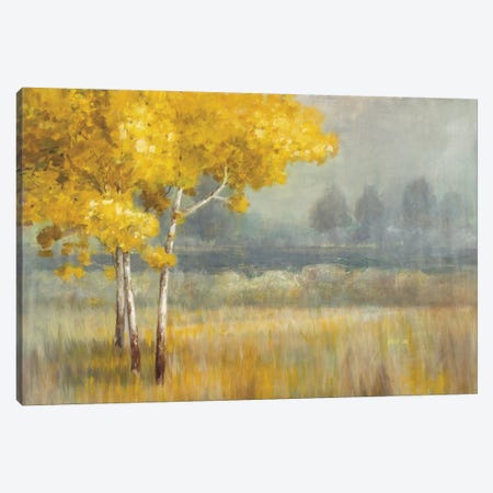 Yellow Landscape Canvas Print #WAC3847} by Danhui Nai Canvas Print