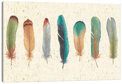 Feather Tales VII Canvas Art Print - Feather Art