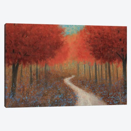 Forest Pathway Canvas Print #WAC3870} by James Wiens Canvas Art Print