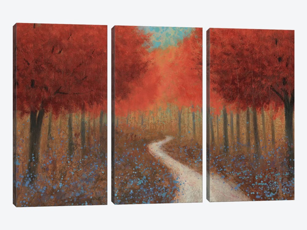 Forest Pathway by James Wiens 3-piece Canvas Artwork