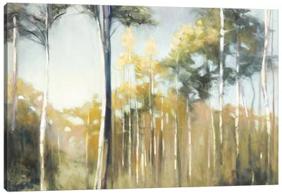 Aspen Reverie Canvas Art Print - Aspen Tree Art