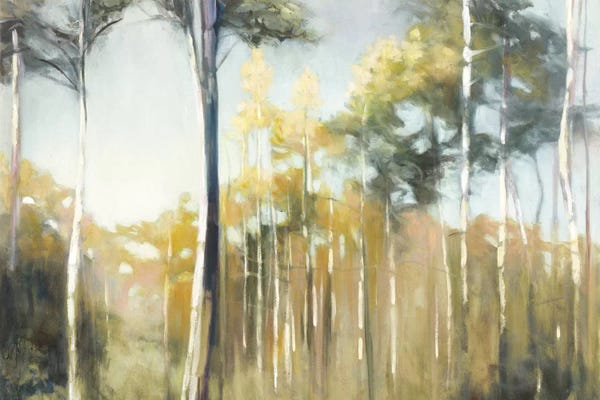 Aspen Trees: Aspen Reverie by Julia Purinton