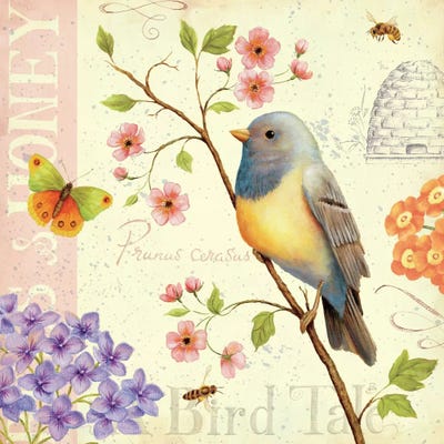 Birds and Bees I  by Daphne Brissonnet framed wall art