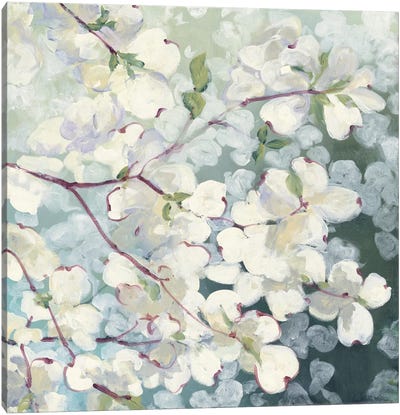Magnolia Delight Canvas Art Print - Blossom Art