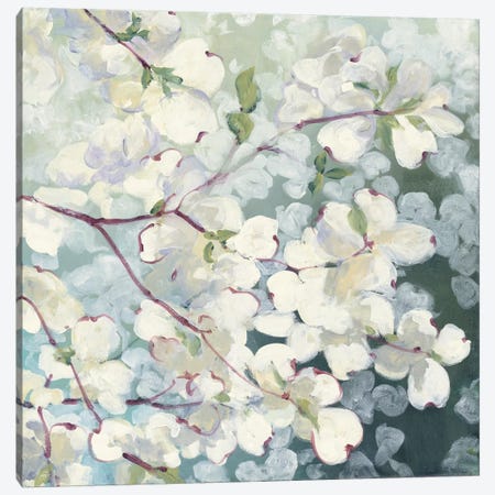 Magnolia Delight Canvas Print #WAC3880} by Julia Purinton Canvas Artwork
