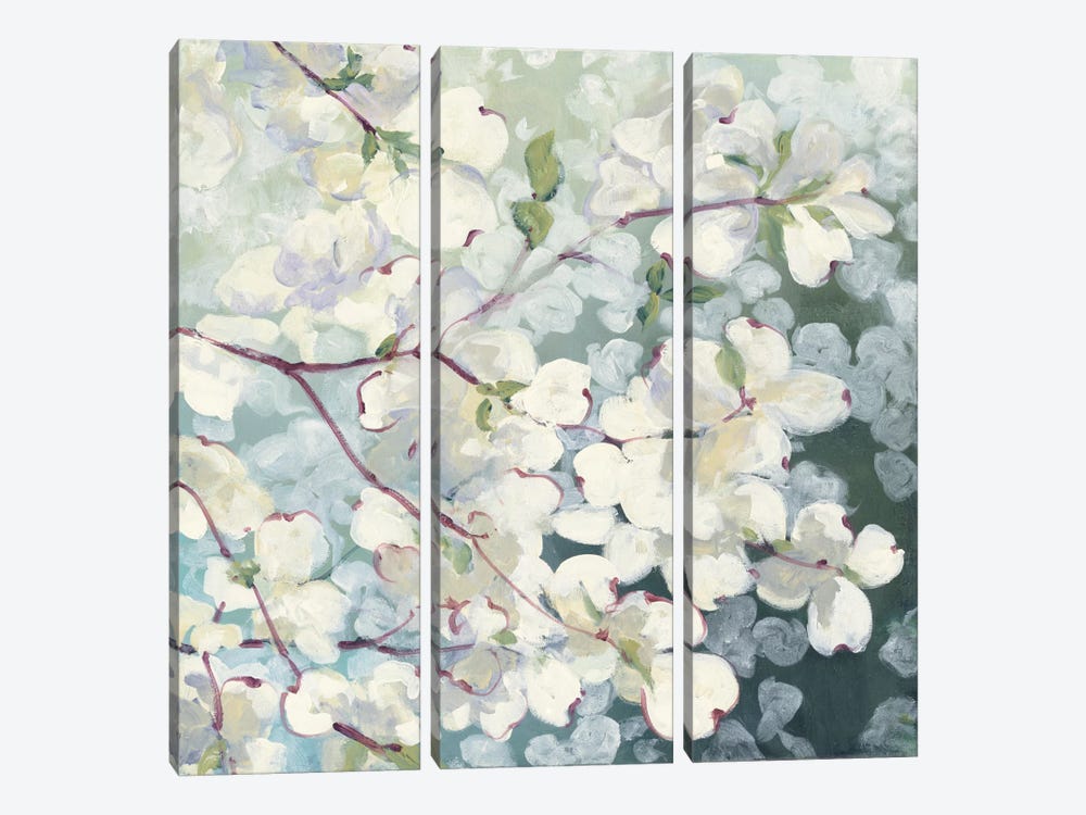 Magnolia Delight by Julia Purinton 3-piece Canvas Art Print