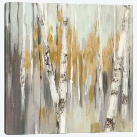 Silver Birch I Canvas Print #WAC3881} by Julia Purinton Canvas Wall Art
