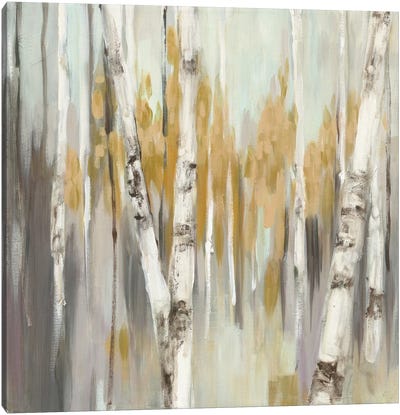 Silver Birch I Canvas Art Print - Julia Purinton