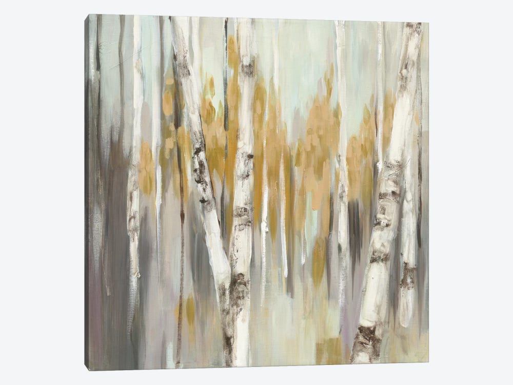 Silver Birch I by Julia Purinton 1-piece Canvas Wall Art