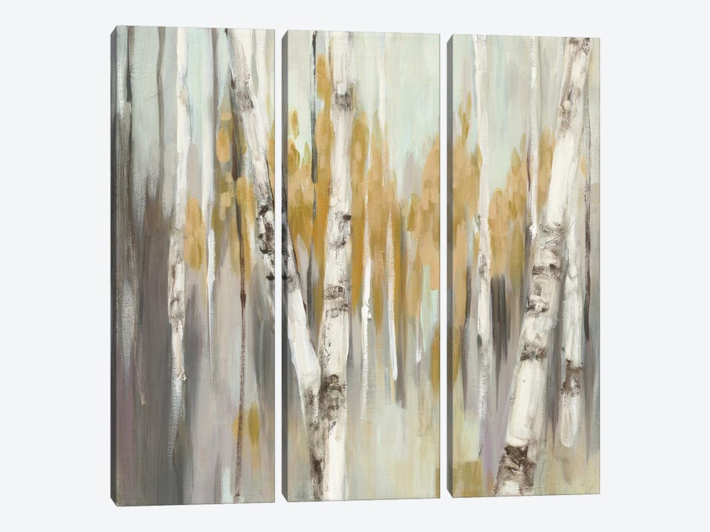Silver Birch I by Julia Purinton 3-piece Canvas Art