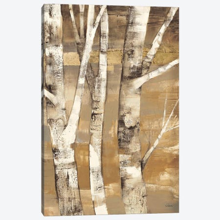 Wandering Through the Birches II Canvas Print #WAC38} by Albena Hristova Canvas Artwork