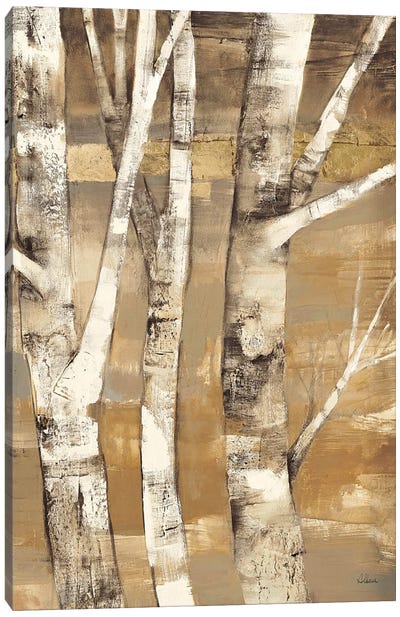 Wandering Through the Birches II Canvas Art Print - Autumn Art