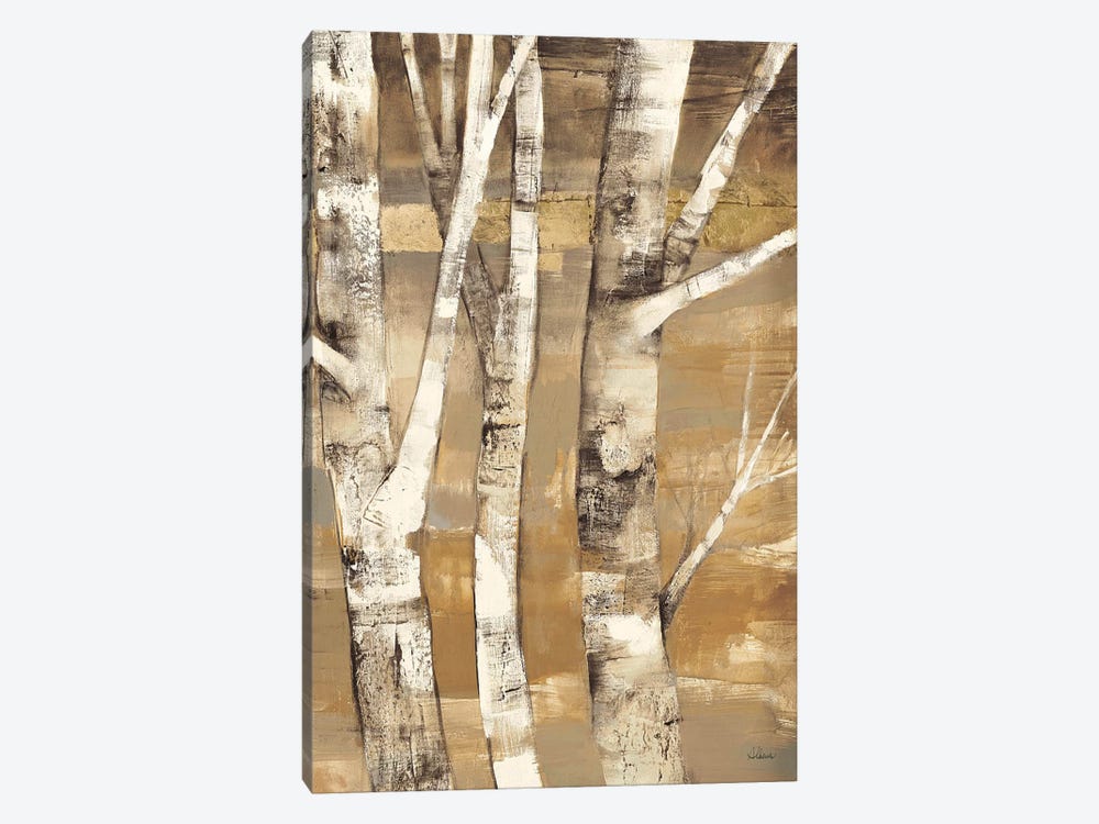 Wandering Through the Birches II by Albena Hristova 1-piece Canvas Art Print