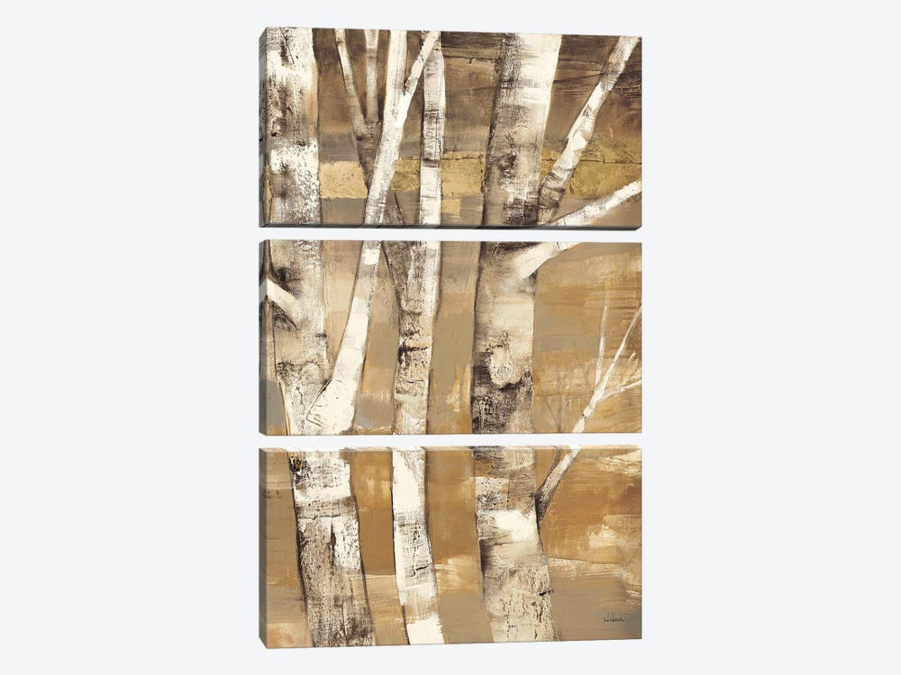 Wandering Through the Birches II by Albena Hristova 3-piece Art Print