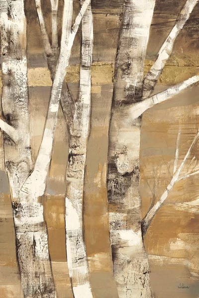 Rustic Décor: Wandering Through the Birches II by Albena Hristova