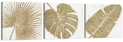 Gold Leaves Triptych Canvas Art Print - Plant Art
