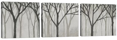 Spring Trees Greystone Triptych Canvas Art Print - Home Staging Living Room