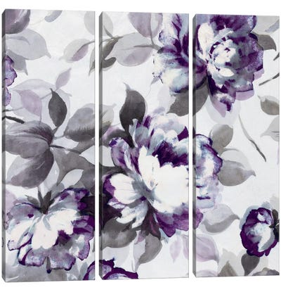Scent Of Plum Roses II Canvas Art Print - 3-Piece Floral & Botanical Art