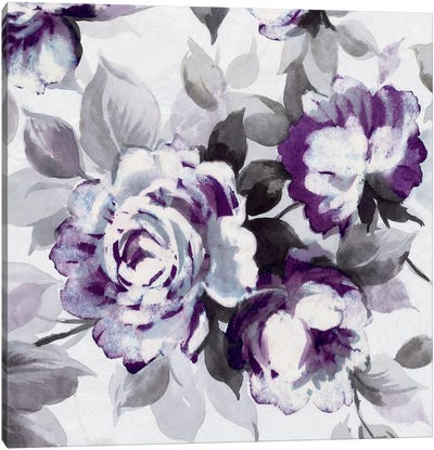 Scent Of Plum Roses III Canvas Art Print - Rose Art