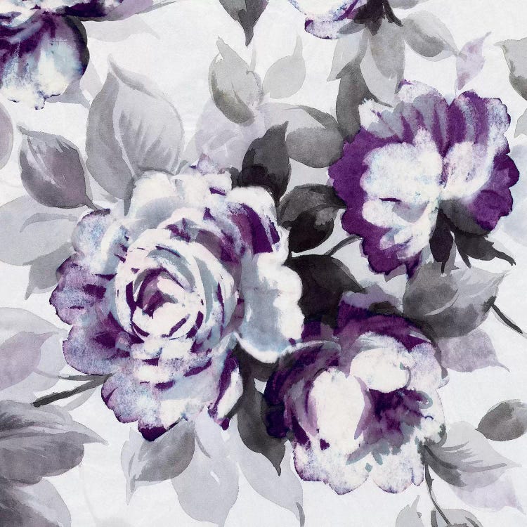 Scent Of Plum Roses III by Wild Apple Portfolio wall art