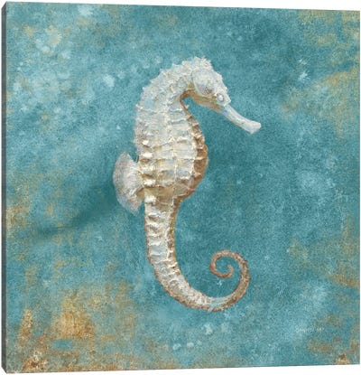 Treasures From The Sea I (Aquamarine) Canvas Art Print - Blue & White Art
