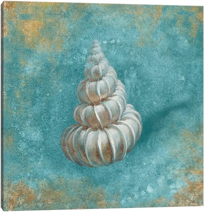 Treasures From The Sea II (Aquamarine) Canvas Art Print - Sea Shell Art