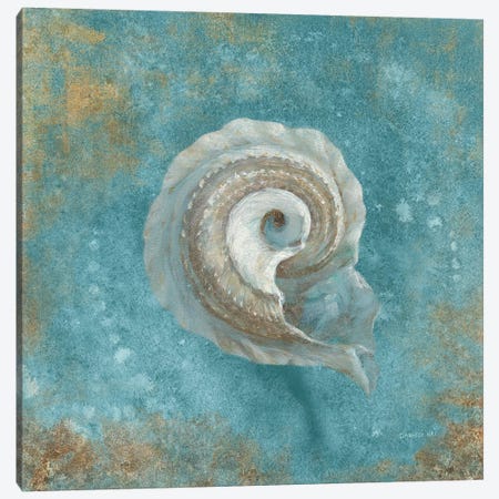 Treasures From The Sea III (Aquamarine) Canvas Print #WAC4030} by Danhui Nai Canvas Art