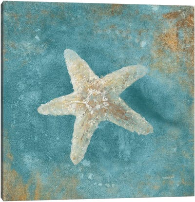 Treasures From The Sea IV (Aquamarine) Canvas Art Print - Starfish Art