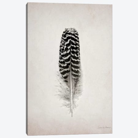 Feather I Canvas Print #WAC4032} by Debra Van Swearingen Canvas Wall Art